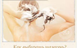 Состав хорошего шампуня для волос — главные аспекты правильного выбора. Какие средства для волос вы предпочитаете? Читаем состав на упаковке