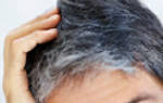 Причины появления седых волос у женщин и мужчин, способы борьбы с сединой. Как остановить поседение волос, лучшие методы борьбы с сединой