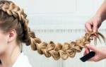 Элегантные прически для волос разной длины: пошаговая инструкция. Элегантная и шикарная собранная прическа. Собранная прическа с французской косой