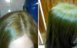 Зеленоватый оттенок волос. Косметические средства для нейтрализации зелёного оттенка. Как избежать появления