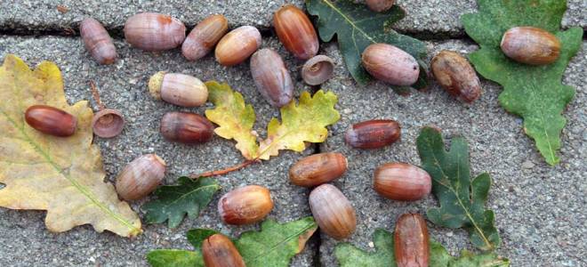 Полный сеанс рейки. Медитативное рисование и рейки. Рейки для шикарных волос