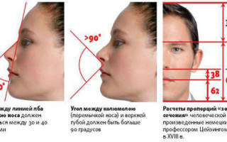 Тонкие черты лица у мужчин. Идеальные пропорции лица и золотое сечение у мужчин и женщин. Ромбовидная форма лица