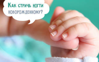 Когда новорожденному можно начинать стричь ногти и как правильно это сделать? Как правильно стричь ногти новорожденному ребенку